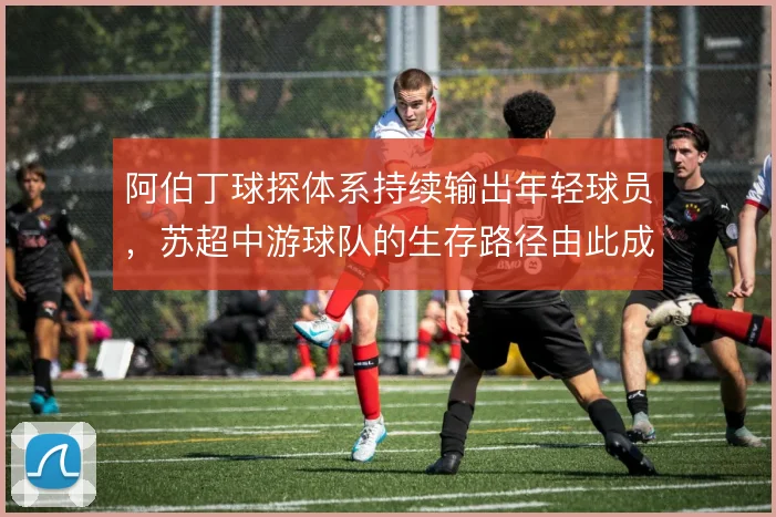 阿伯丁球探体系持续输出年轻球员，苏超中游球队的生存路径由此成型