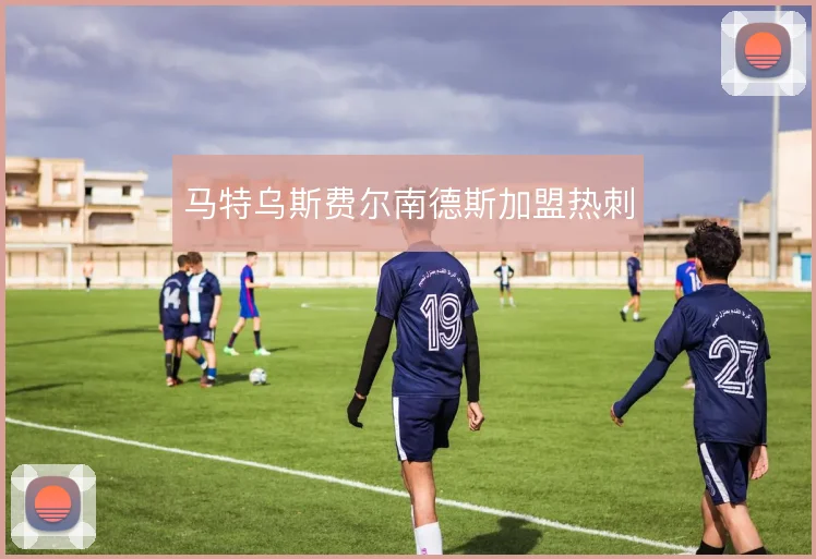 马特乌斯费尔南德斯加盟热刺