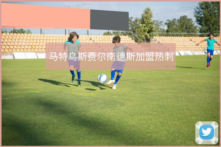 马特乌斯费尔南德斯加盟热刺