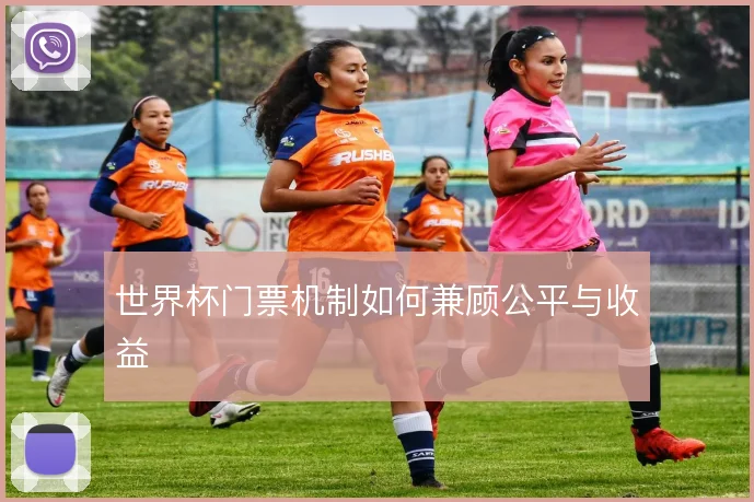 世界杯门票机制如何兼顾公平与收益